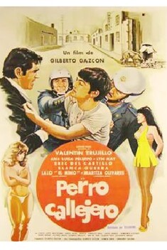 Perro callejero (1980)