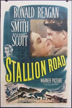 Stallion Road (1947)