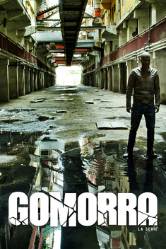 Gomorrah (2014-2021)