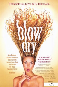 Blow Dry (2001)