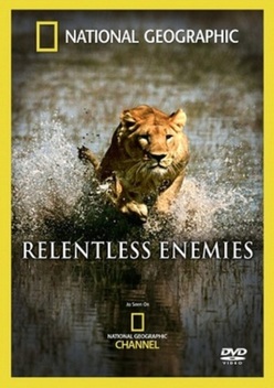 Rhino Rescue (Blu-Ray, 2009) National Geographic Beverly & Dereck Joubert  SEALED