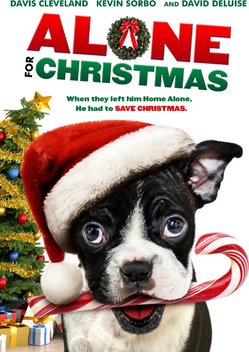 Alone for Christmas (2013)