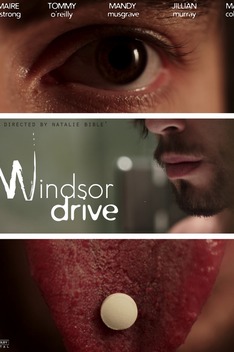 Windsor Drive (2014)