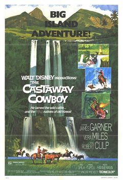 The Castaway Cowboy (1974)