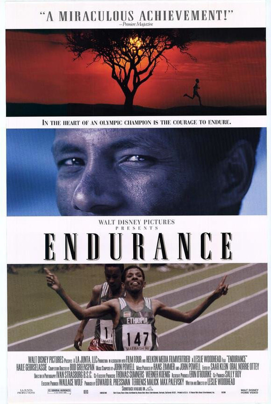 Endurance (1999)