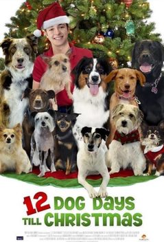 12 Dog Days Till Christmas (2014)