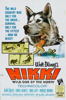 Nikki, Wild Dog of the North (1961)