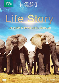 Life Story (2014)