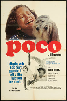 Poco... Little Dog Lost (1977)