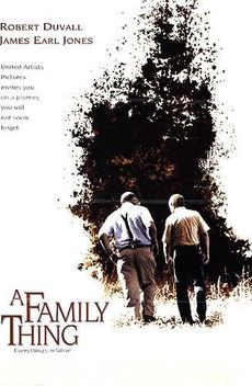 A Family Thing (1996)