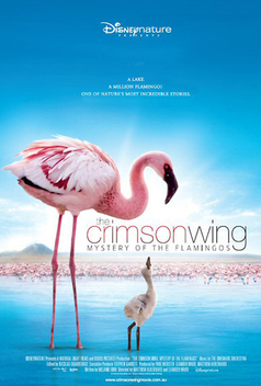 The Crimson Wing: Mystery of the Flamingos (2008)