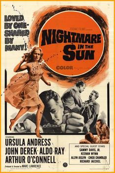 Nightmare in the Sun (1965)