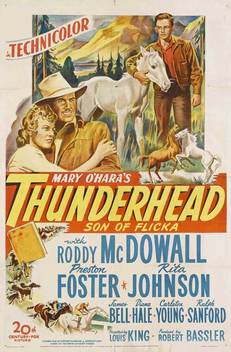Thunderhead: Son of Flicka (1945)