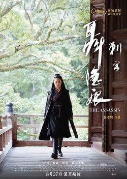 The Assassin (2015)