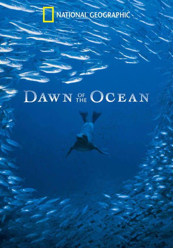 Dawn of the Ocean (2010)