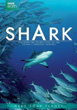 Shark (2015)