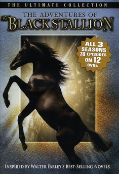 The Adventures of the Black Stallion (1990-1993)