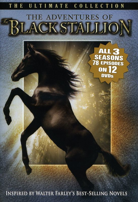 The Adventures of the Black Stallion (1990 - 1993)