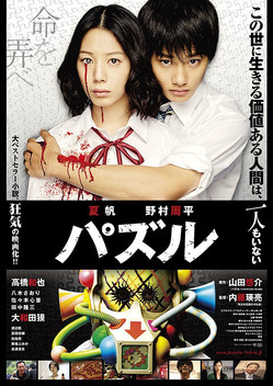 Puzzle (2014)