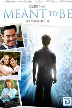 Meant to Be (2012)