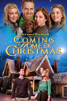 Coming Home for Christmas (2013)