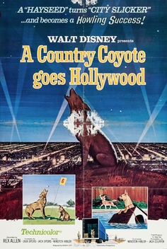 A Country Coyote Goes Hollywood (1965)