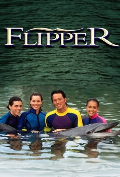 Flipper (1995-2000)