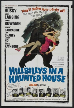 Hillbillys in a Haunted House (1967)