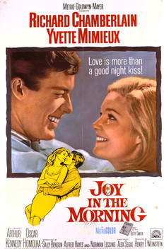 Joy in the Morning (1965)