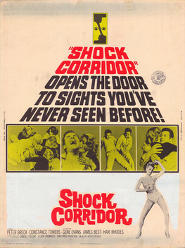 Shock Corridor (1963)