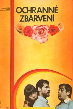 Camouflage (1977)