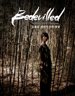 Bedevilled (2010)