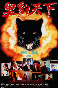 The Black Panther Warriors (1993)