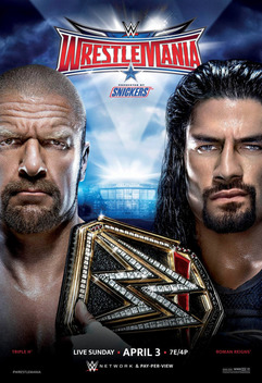 The 25th Anniversary of WrestleMania (TV Special 2009) - IMDb