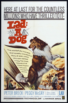 Lad: A Dog (1962)