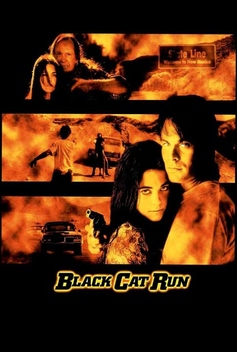 Black Cat Run (1998)