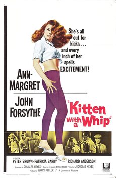 Kitten with a Whip (1964)