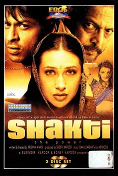 Shakti: The Power (2002)