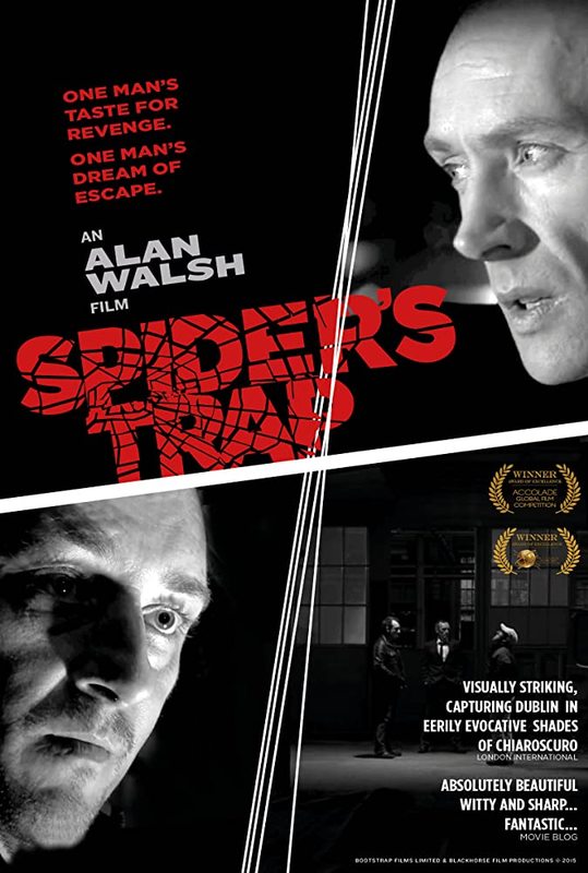Spider S Trap 15