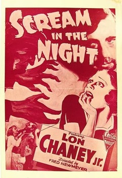 A Scream in the Night (1935)