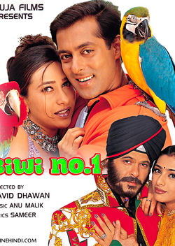 Biwi No.1 (1999)