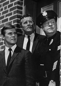 The Felony Squad (1966-1969)