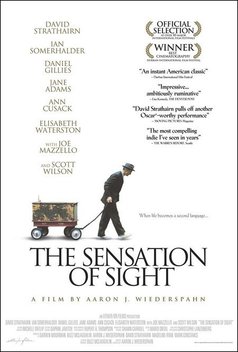 The Sensation of Sight (2006)