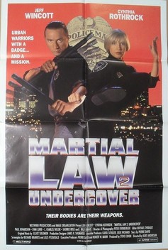 Martial Law II: Undercover (1991)