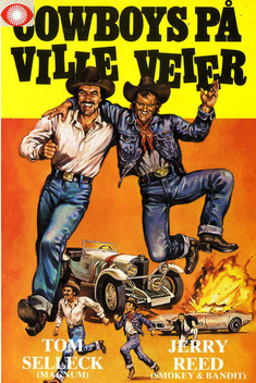 Concrete Cowboys (1979)