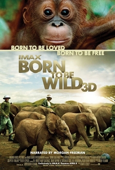 IMAX: Born to Be Wild (2011)