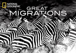 Great Migrations (2010)