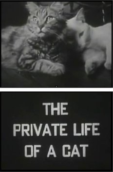 The Private Life of a Cat (1946)