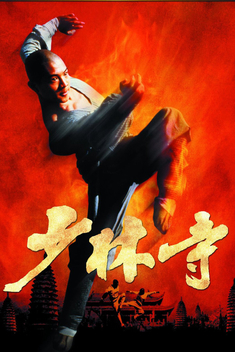 Shaolin Temple (1982)