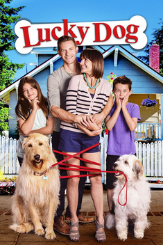 Lucky Dog (2014)